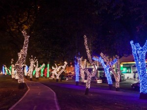 Avenida Brás Leme, na Zona Norte, também foi decorada (Foto: José Cordeiro/ SPTuris)