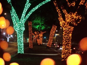 Prefeitura já iluminou diversas vias de São Paulo. Na foto, trecho da Avenida Senna Madureira, na Zona Sul (Foto: Mônica Silveira/ SP Turis)