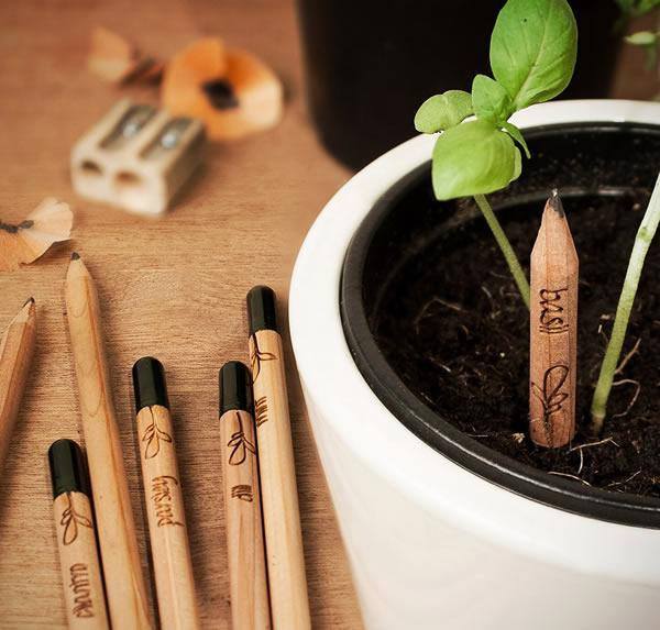 Lápis para Plantar - Lápis Ecológico Sprout sustentável