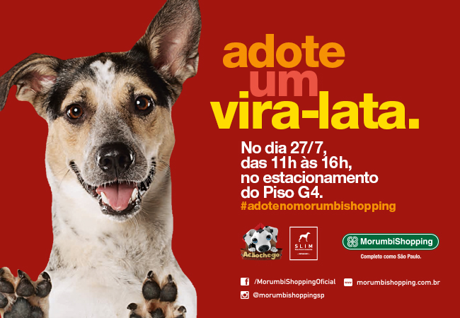 Adote um Vira-Lata – 6ª edição do evento de adoção de cães no MorumbiShopping