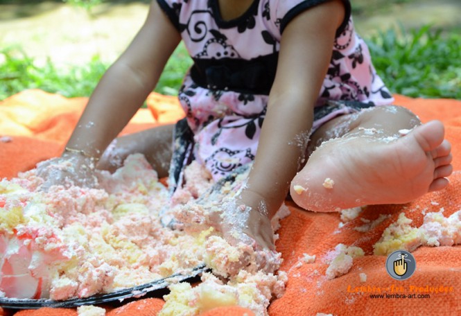 smash the cake_003
